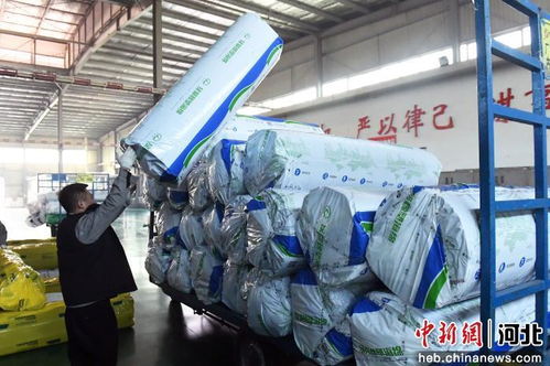 河北廊坊 技术驱动传统产业攀新高，解锁改造升级流量密码